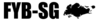 fybsg fybsg
